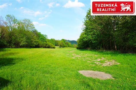 Vizualizace rovinatého pozemku s ovocnými stromy