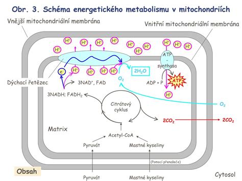 Schéma energetického distribučního uzlu