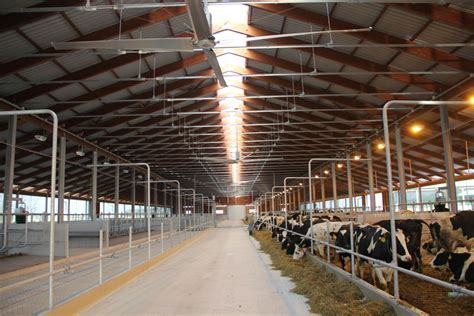 Detailní pohled na moderní ventilační systém ve stáji pro prasata