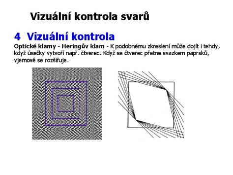vizuální kontrola domu inspektorem