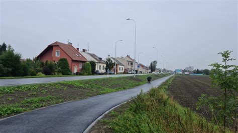 stromy lemující ulici s rodinnými domy