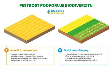 Infografika srovnávající výnosy z komerčního zemědělství a domácích zahrad
