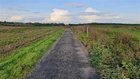 fotografie polní cesty s viditelnými kolejemi