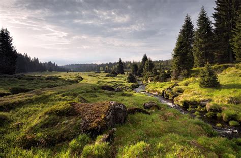 Fotografie přírodní scenérie v okolí developerského projektu (např. les, řeka)