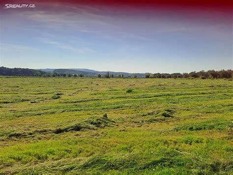 Fotografie zemědělské usedlosti s pozemkem