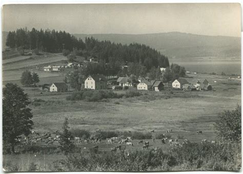 pohled na Marinu Lipno