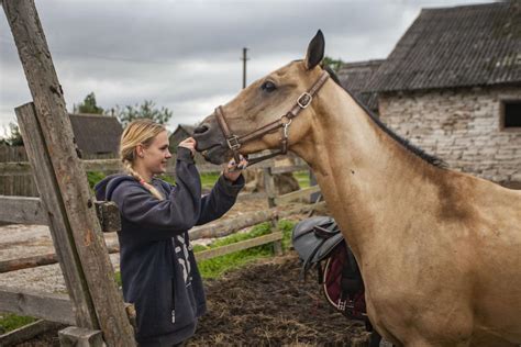 Fotografie klienta při hipoterapii s koněm