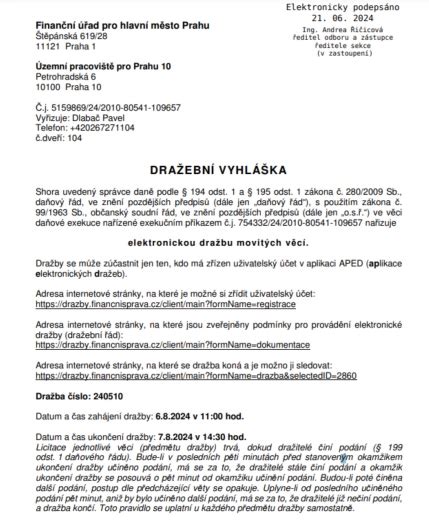Náhled formuláře dražební vyhlášky s vyznačenými klíčovými sekcemi