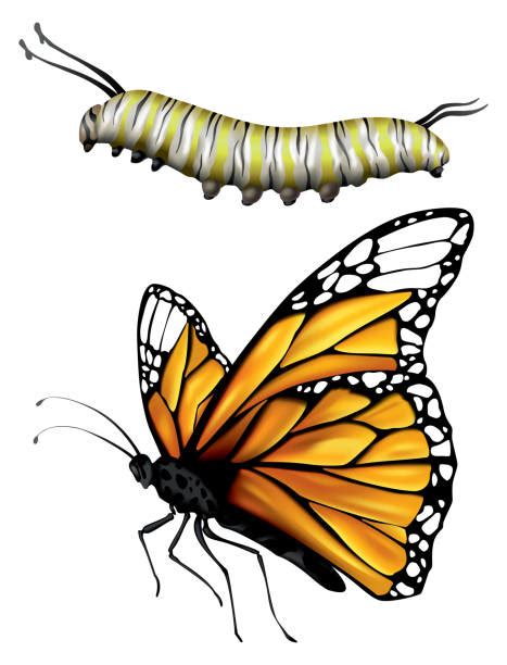ilustrace znázorňující různé typy sousedství pozemků