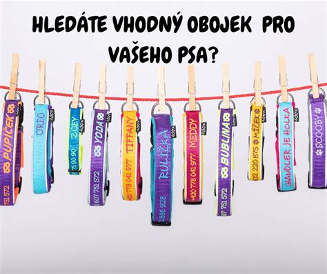 Infografika znázorňující různé typy vybavení nemovitostí a jejich výhody.